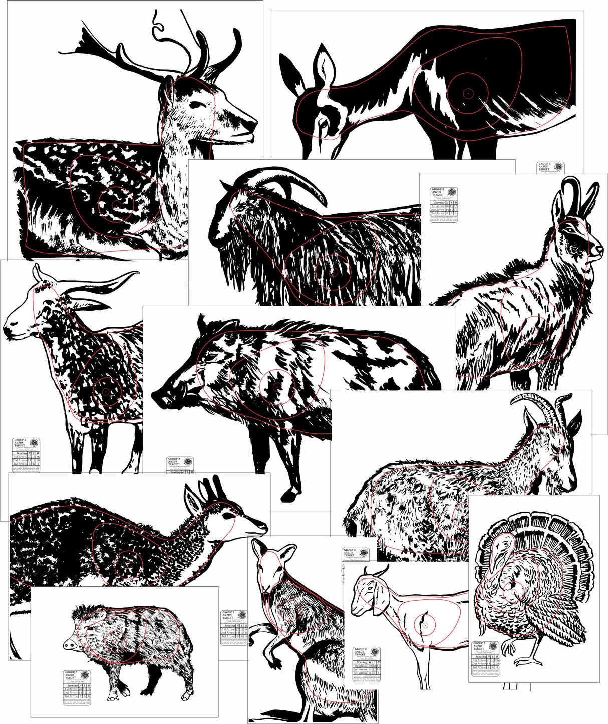 ANZUS Tough Waterproof Targets