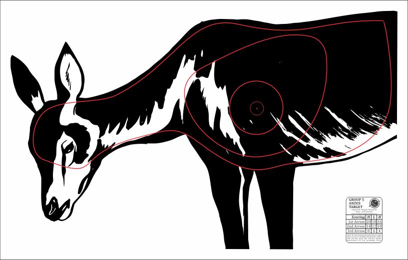 ANZUS Tough Waterproof Targets