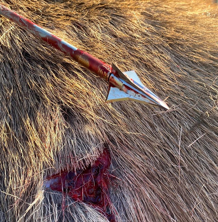 Kayuga Broadheads Tri Zot 125gr