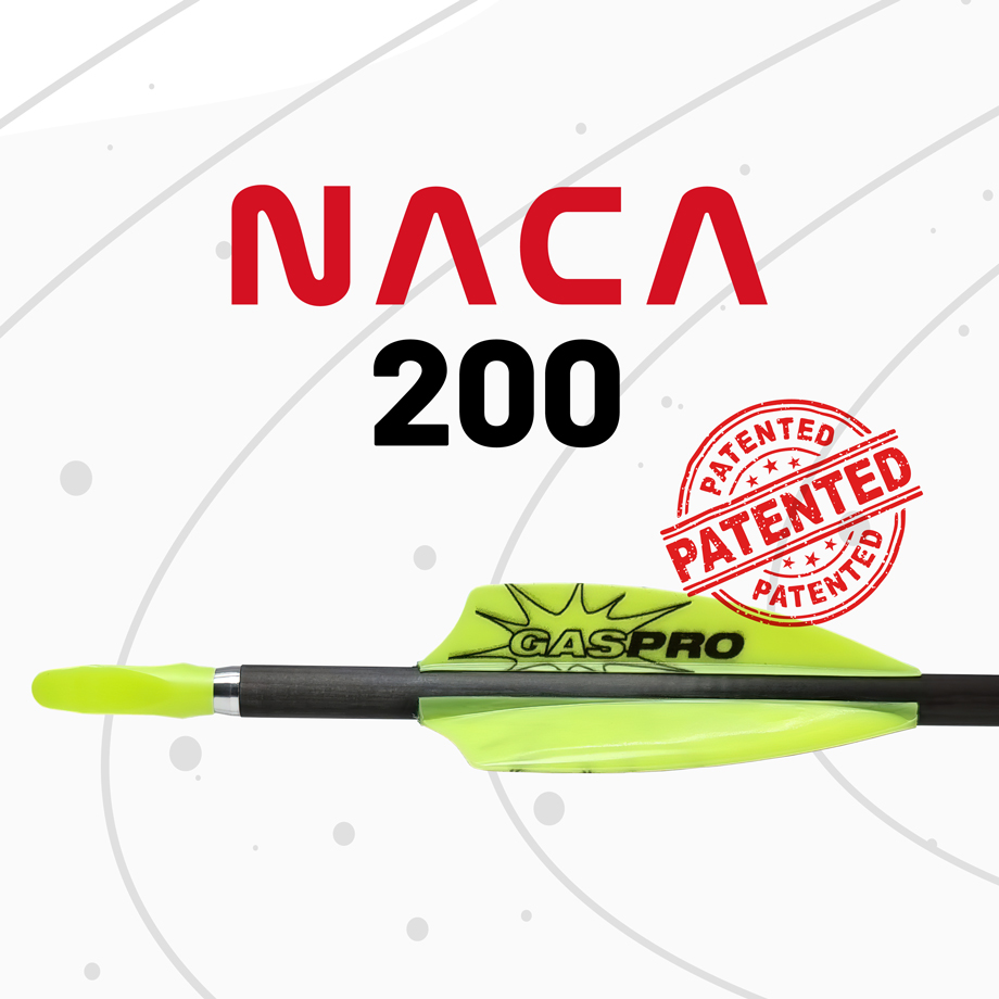Gas Pro NACA 200 Vanes