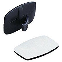 Bear Traditional Weather Rest