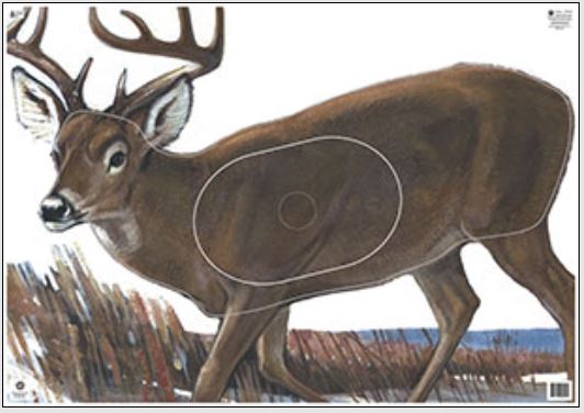Maple Group 1 Deer Target