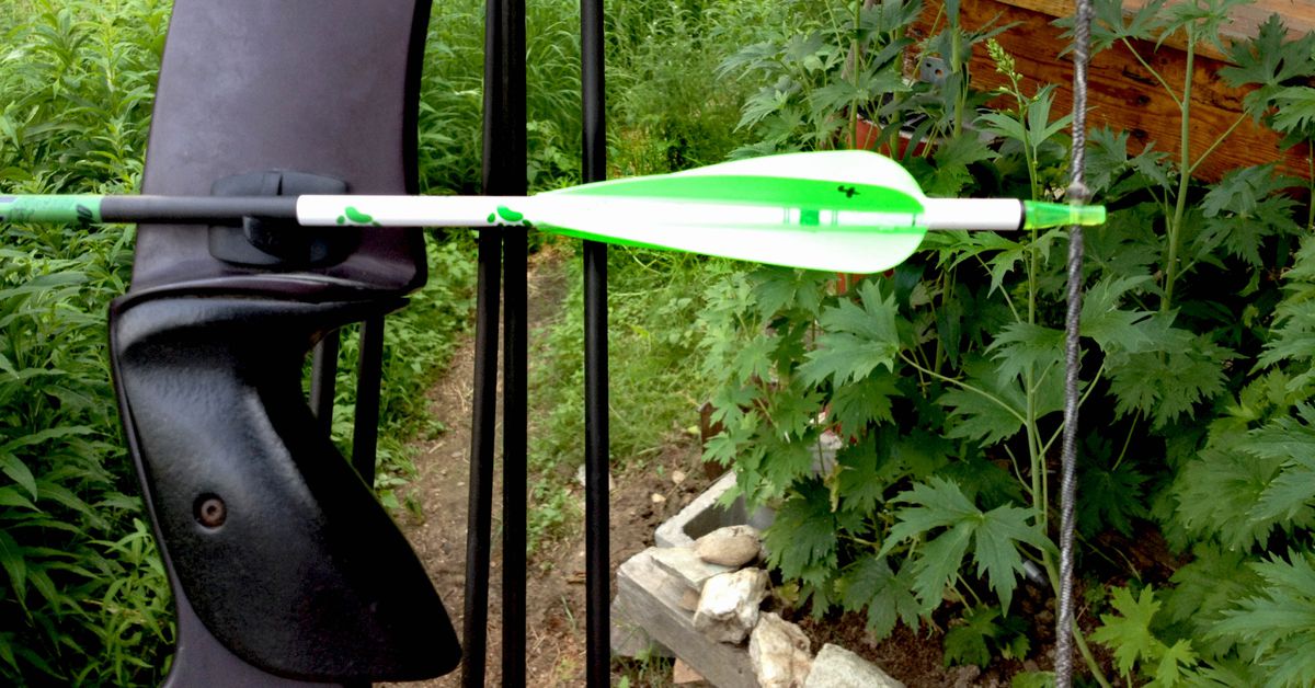 Bear Traditional Weather Rest