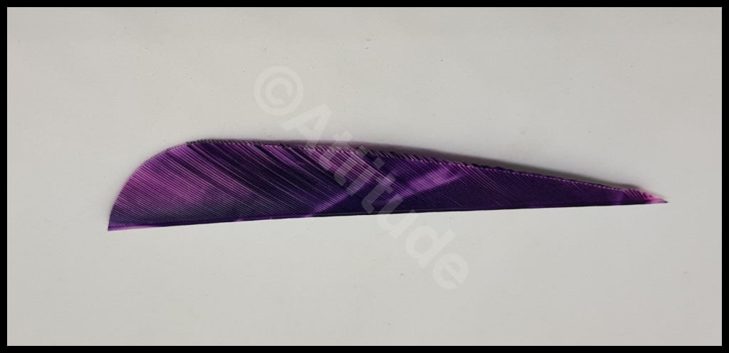 Gateway 4 Para Tre Feathers Rw Purple Arrows