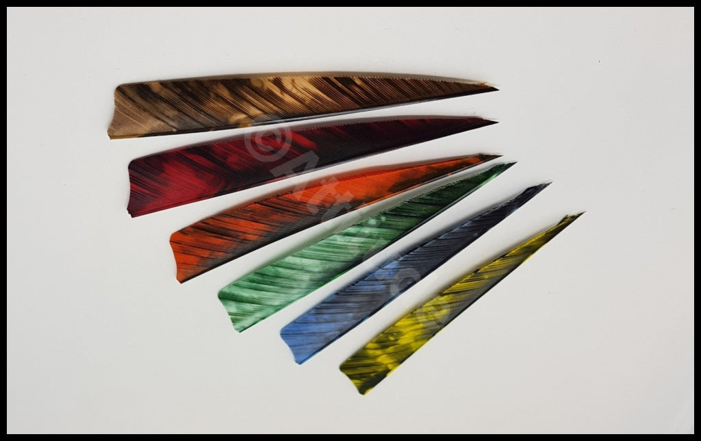 Gateway 4 Shield Tre Camo Feathers Rw Arrows