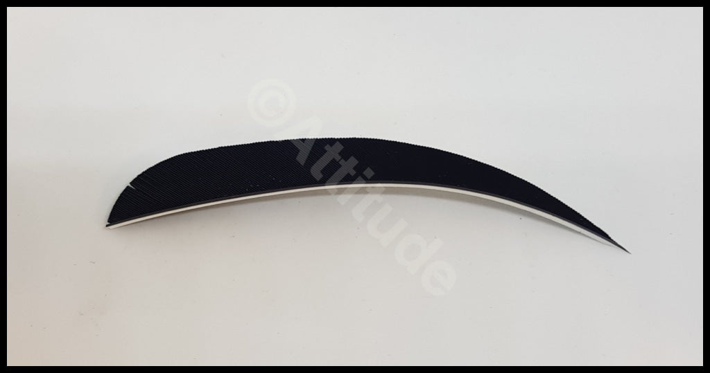 Gateway 5 Par Feathers Rw Black Arrows