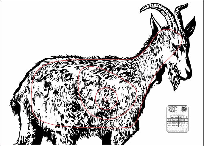 ANZUS Tough Waterproof Targets