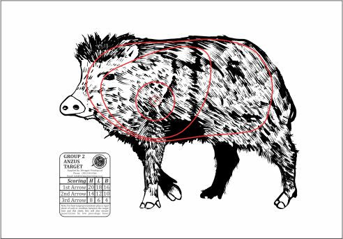 ANZUS Tough Waterproof Targets