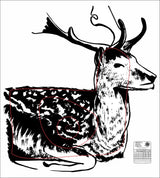 ANZUS Tough Waterproof Targets