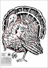 ANZUS Tough Waterproof Targets