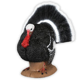 Delta McKenzie 3D Backyard Strutter Turkey