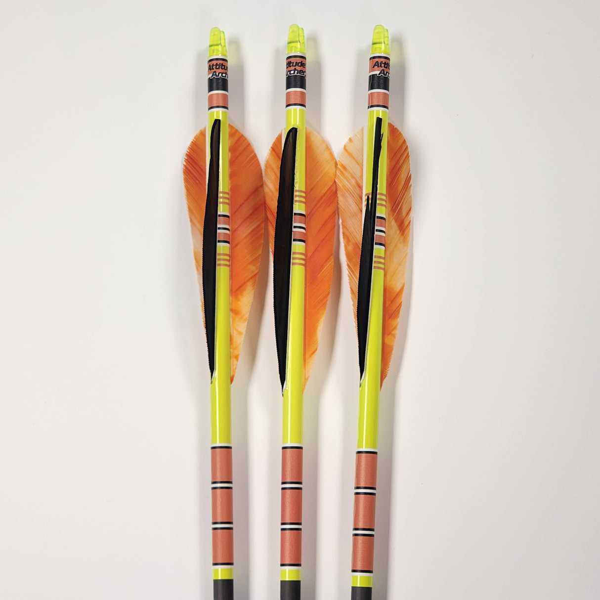 Attitude Archery Black Eagle Outlaw Pre-fletched Feather Arrow