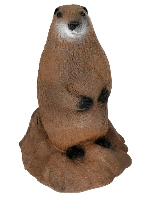 Delta McKenzie Woodchuck 3D Target