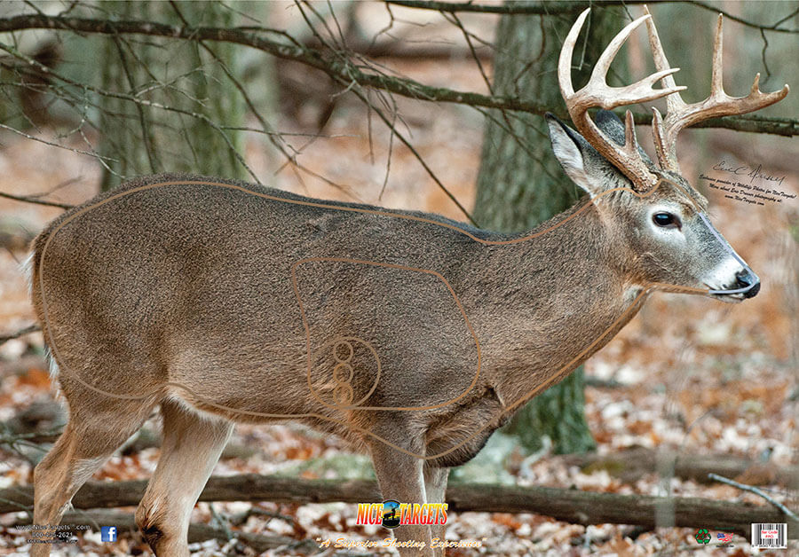 Nice Target Broadside Right Deer