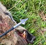 Kayuga Broadheads Tri Zot 100gr