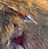 Kayuga Broadheads Tri Zot 100gr