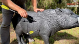 Delta McKenzie 3D Backyard Wild Boar