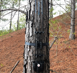 Talon Quiver Accessory Pack