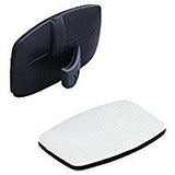 Bear Traditional Weather Rest