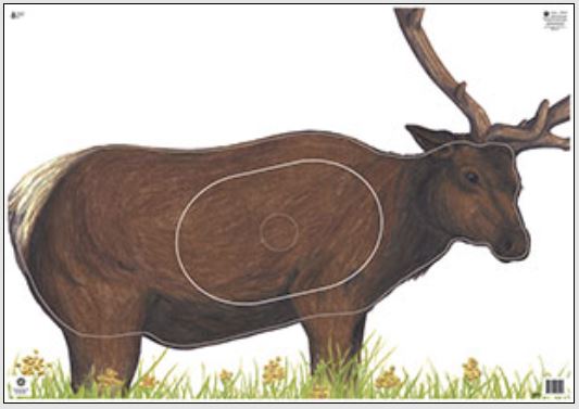 Maple Group 1 Elk Target