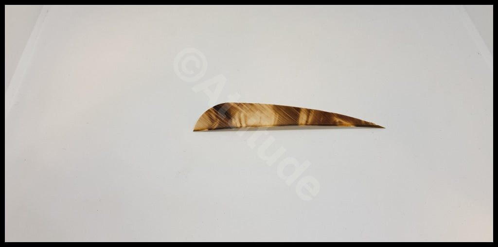 Gateway 4 Para Tre Feathers Rw Brown Arrows