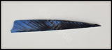 Gateway 4 Shield Tre Camo Feathers Rw Blue Arrows