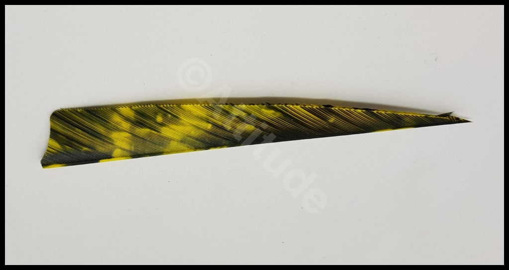 Gateway 4 Shield Tre Camo Feathers Rw Yellow Arrows